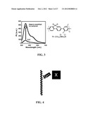 Fluorescent Methods and Materials for Directed Biomarker Signal     Amplification diagram and image