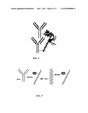 Fluorescent Methods and Materials for Directed Biomarker Signal     Amplification diagram and image