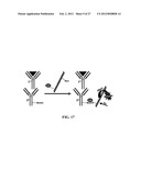 Fluorescent Methods and Materials for Directed Biomarker Signal     Amplification diagram and image