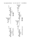 Fluorescent Methods and Materials for Directed Biomarker Signal     Amplification diagram and image