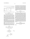 Fluorescent Methods and Materials for Directed Biomarker Signal     Amplification diagram and image