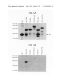 Methods of modulating bromodomains diagram and image