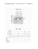 Methods of modulating bromodomains diagram and image