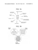 Cell Culture Media Supplement and Method of Molecular Stress Control diagram and image