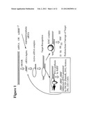 RNA Interference Mediated Inhibition of GATA Binding Protein 3 (GATA3)     Gene Expression Using Short Intefering Nucleic Acid (siNA) diagram and image