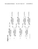 RNA Interference Mediated Inhibition of GATA Binding Protein 3 (GATA3)     Gene Expression Using Short Intefering Nucleic Acid (siNA) diagram and image