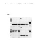 ATTENUATED SALMONELLA ENTERICA SEROVAR PARATYPHI A AND USES THEREOF diagram and image