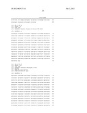 ATTENUATED SALMONELLA ENTERICA SEROVAR PARATYPHI A AND USES THEREOF diagram and image