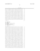 ATTENUATED SALMONELLA ENTERICA SEROVAR PARATYPHI A AND USES THEREOF diagram and image