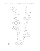 AZA-DIBENZOCYCLOOCTYNES AND METHODS OF MAKING AND USING SAME diagram and image