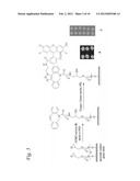 AZA-DIBENZOCYCLOOCTYNES AND METHODS OF MAKING AND USING SAME diagram and image