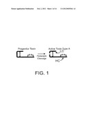 SYSTEMS AND METHODS FOR DELIVERY OF A THERAPEUTIC AGENT diagram and image