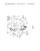 Presbyopic vision correction with controlled 3-D patterned mechanical     weakening of scleral tissue diagram and image