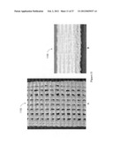 PROSTHETIC DEVICE AND METHOD OF MANUFACTURING THE SAME diagram and image