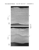 PROSTHETIC DEVICE AND METHOD OF MANUFACTURING THE SAME diagram and image