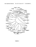 Plants Having Enhanced Abiotic Stress Tolerance and/or Enhanced     Yield-Related Traits and a Method for Making the Same diagram and image