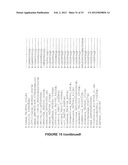 Plants Having Enhanced Abiotic Stress Tolerance and/or Enhanced     Yield-Related Traits and a Method for Making the Same diagram and image