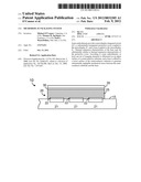 MICRODISPLAY PACKAGING SYSTEM diagram and image