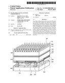 PLASMA DISPLAY PANEL AND FIELD EMISSION DISPLAY diagram and image