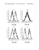 ASSESSING FEATURES FOR CLASSIFICATION diagram and image