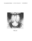 APPARATUS FOR IMPROVING SHARPNESS OF IMAGE diagram and image