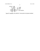 Artificial cells diagram and image