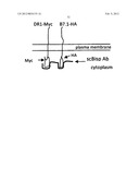 Artificial cells diagram and image