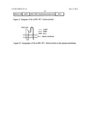 Artificial cells diagram and image