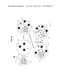 Artificial cells diagram and image