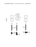 Artificial cells diagram and image