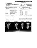 NON-INVASIVE TOOLS FOR DETECTING VULNERABLE ATHEROSCLEROTIC PLAQUES diagram and image