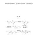 MONOMETHYLVALINE COMPOUNDS CAPABLE OF CONJUGATION TO LIGANDS diagram and image