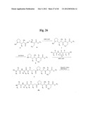 MONOMETHYLVALINE COMPOUNDS CAPABLE OF CONJUGATION TO LIGANDS diagram and image