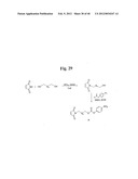 MONOMETHYLVALINE COMPOUNDS CAPABLE OF CONJUGATION TO LIGANDS diagram and image