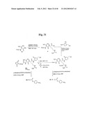 MONOMETHYLVALINE COMPOUNDS CAPABLE OF CONJUGATION TO LIGANDS diagram and image