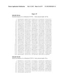 INFLUENZA HEMAGGLUTININ AND NEURAMINIDASE VARIANTS diagram and image