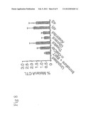 ANALOGS OF ALPHA GALACTOSYLCERAMIDE AND USES THEREOF diagram and image