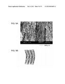 CARBON FIBER-REINFORCED CARBON COMPOSITE MATERIAL AND METHOD FOR     MANUFACTURING THE SAME diagram and image