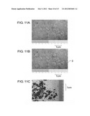 C/C COMPOSITE MATERIAL MOLDED BODY AND METHOD FOR MANUFACTURING THE SAME diagram and image