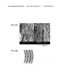 CARBON FIBER STRUCTURE AND METHOD FOR MANUFACTURING THE SAME diagram and image