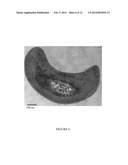 Methylocystis Strain SB2 Materials and Methods diagram and image