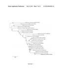 Methylocystis Strain SB2 Materials and Methods diagram and image