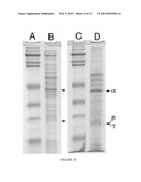 Methylocystis Strain SB2 Materials and Methods diagram and image