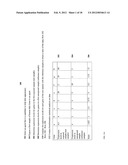 Apparatus and Method for Testing Relationships Between Gene Expression and     Physical Appearance of Skin diagram and image