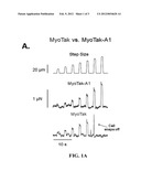 COMPOSITIONS AND METHODS FOR ADHESION OF INTACT CELLS TO AN APPARATUS diagram and image