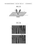 COMPOSITIONS AND METHODS FOR ADHESION OF INTACT CELLS TO AN APPARATUS diagram and image