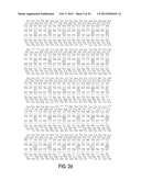 Circovirus Sequences Associated With Piglet Weight Loss Disease (PWD) diagram and image