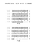 Circovirus Sequences Associated With Piglet Weight Loss Disease (PWD) diagram and image