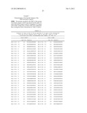 Circovirus Sequences Associated With Piglet Weight Loss Disease (PWD) diagram and image