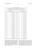 Circovirus Sequences Associated With Piglet Weight Loss Disease (PWD) diagram and image